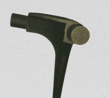 photo 2019 07 29 00 38 57 removebg preview